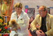 Чемпионат Европы-2012 Pomeranian Sensation Pom ot Pandy Sharm - BISВ-1