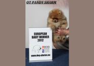 Чемпионат Европы-2012, Pomeranian Sensation Pom ot Pandy Sharm - BISВ-1
